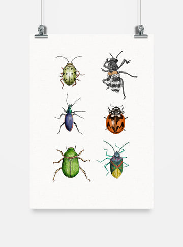 lámina para enmarcar diseño insectos nativos Chile
decoración hogar con ilustración insectos endémicos Chile
lámina firmada ilustradora insectos Chile
regalo lámina insectos nativos Chile hogar
lámina arte fauna invertebrada bosque nativo Chile