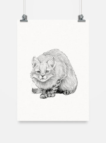 lámina para enmarcar diseño gato colo colo Chile
decoración hogar con ilustración felino silvestre Chile
lámina firmada ilustradora gato colo colo Chile
regalo lámina gato colo colo fauna silvestre Chile hogar
lámina arte felino nativo Chile