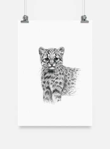 lámina para enmarcar diseño güiña Chile
decoración hogar con ilustración güiña felino endémico Chile
lámina firmada ilustradora güiña Chile
regalo lámina güiña conservación Chile hogar
lámina arte gato salvaje chileno