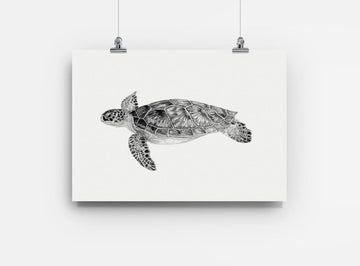 lámina para enmarcar diseño tortuga verde Chile
decoración hogar con ilustración tortuga verde marina Chile
lámina firmada ilustradora tortuga verde Chile
regalo lámina tortuga verde conservación Chile hogar
lámina arte tortuga marina vulnerable Chile
