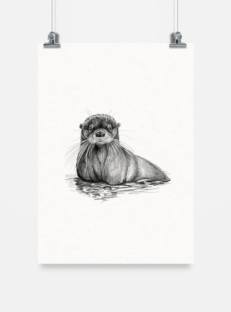 lámina para enmarcar diseño huillín Chile
decoración hogar con ilustración huillín nutria río Chile
lámina firmada ilustradora huillín Chile
regalo lámina huillín conservación Chile hogar
lámina arte especie en peligro extinción Chile