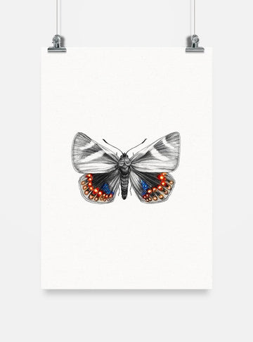 lámina para enmarcar diseño mariposa del chagual Chile
decoración hogar con ilustración insecto endémico Chile
lámina firmada ilustradora mariposa chagual Chile
regalo lámina mariposa del chagual conservación Chile hogar
lámina arte insecto endémico Chile