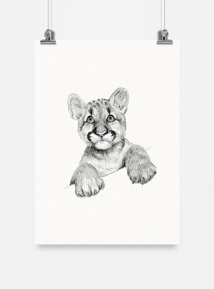 lámina para enmarcar diseño puma cachorro Chile
decoración hogar con ilustración cachorro felino nativo Chile
lámina firmada ilustradora puma cachorro Chile
regalo lámina puma cachorro fauna Chile hogar
lámina arte cría felino andino Chile