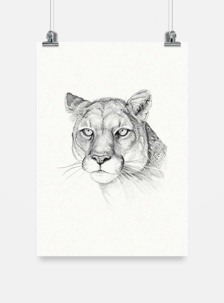 lámina para enmarcar diseño puma Chile
decoración hogar con ilustración puma fauna Chile
lámina firmada ilustradora puma Chile
regalo lámina puma gran felino Chile hogar
lámina arte felino andino patagónico Chile
