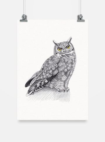 lámina para enmarcar diseño tucúquere Chile
decoración hogar con ilustración búho nativo Chile
lámina firmada ilustradora tucúquere Chile
regalo lámina tucúquere ave rapaz Chile hogar
lámina arte fauna nocturna Chile