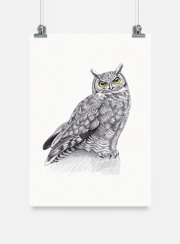 lámina para enmarcar diseño tucúquere Chile
decoración hogar con ilustración búho nativo Chile
lámina firmada ilustradora tucúquere Chile
regalo lámina tucúquere ave rapaz Chile hogar
lámina arte fauna nocturna Chile