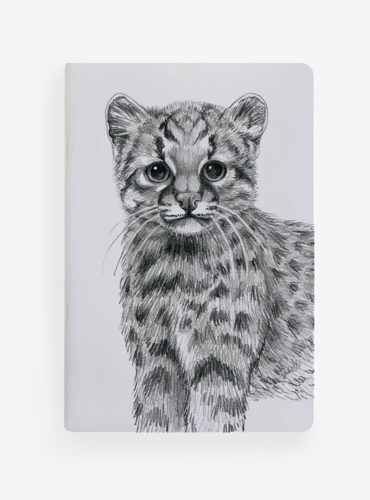libreta diseño güiña Chile
libreta papelería ilustración fauna flora chilena
regalo libreta güiña fauna Chile
libreta 60 páginas güiña Chile
regalo papelería fauna flora nativa Chile