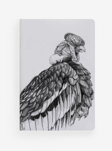 libreta diseño cóndor Chile
libreta papelería ilustración fauna flora chilena
regalo libreta cóndor fauna Chile
libreta 60 páginas cóndor Chile
regalo papelería fauna flora nativa Chile