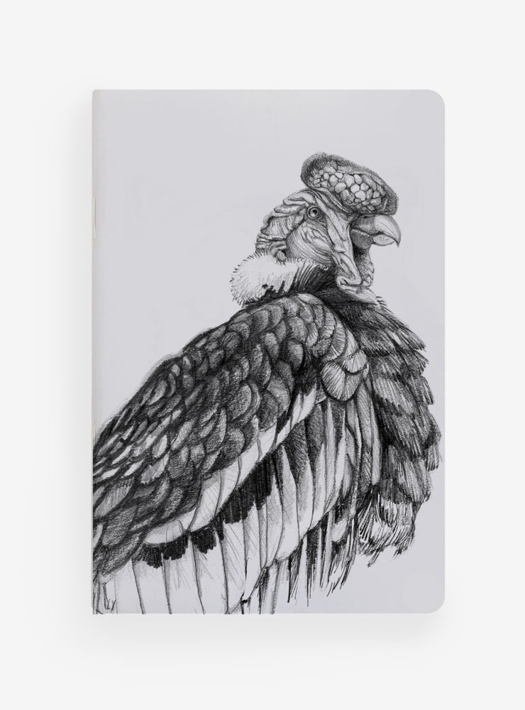 libreta diseño cóndor Chile
libreta papelería ilustración fauna flora chilena
regalo libreta cóndor fauna Chile
libreta 60 páginas cóndor Chile
regalo papelería fauna flora nativa Chile