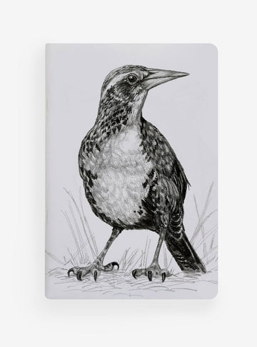 libreta diseño loica Chile
libreta papelería ilustración fauna flora chilena
regalo libreta loica fauna Chile
libreta 60 páginas loica Chile
regalo papelería fauna flora nativa Chile
