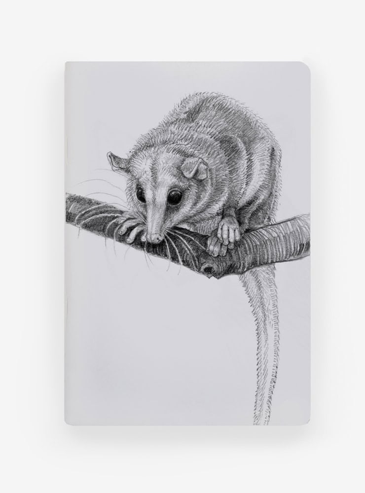 libreta diseño monito del monte Chile
libreta papelería ilustración fauna flora chilena
regalo libreta monito del monte fauna Chile
libreta 60 páginas monito del monte Chile
regalo papelería fauna flora nativa Chile