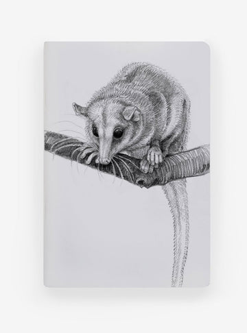libreta diseño monito del monte Chile
libreta papelería ilustración fauna flora chilena
regalo libreta monito del monte fauna Chile
libreta 60 páginas monito del monte Chile
regalo papelería fauna flora nativa Chile