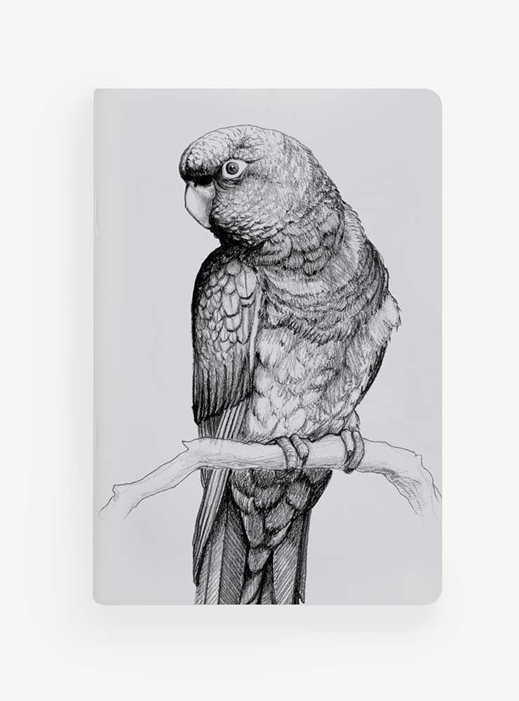 libreta diseño tricahue Chile
libreta papelería ilustración fauna flora chilena
regalo libreta tricahue fauna Chile
libreta 60 páginas tricahue Chile
regalo papelería fauna flora nativa Chile
