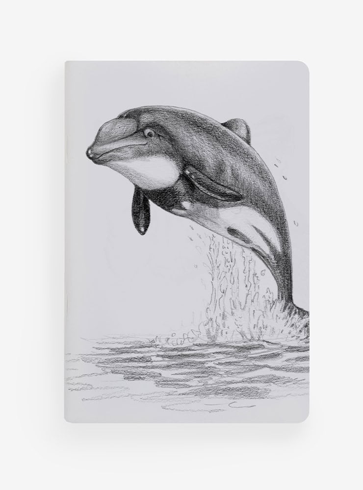 libreta diseño delfín chileno Chile
libreta papelería ilustración fauna flora chilena
regalo libreta delfín chileno fauna Chile
libreta 60 páginas delfín chileno Chile
regalo papelería fauna flora nativa Chile