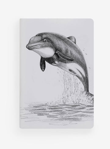 libreta diseño delfín chileno Chile
libreta papelería ilustración fauna flora chilena
regalo libreta delfín chileno fauna Chile
libreta 60 páginas delfín chileno Chile
regalo papelería fauna flora nativa Chile