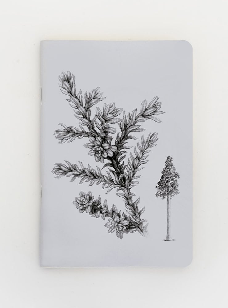 libreta diseño alerce Chile
libreta papelería ilustración fauna flora chilena
regalo libreta alerce fauna Chile
libreta 60 páginas alerce Chile
regalo papelería fauna flora nativa Chile
