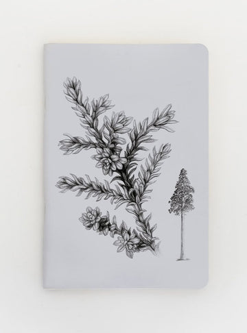 libreta diseño alerce Chile
libreta papelería ilustración fauna flora chilena
regalo libreta alerce fauna Chile
libreta 60 páginas alerce Chile
regalo papelería fauna flora nativa Chile