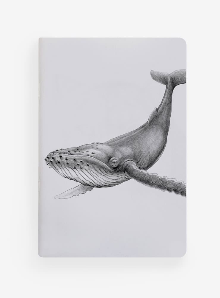libreta diseño ballena jorobada Chile
libreta papelería ilustración fauna flora chilena
regalo libreta ballena jorobada fauna Chile
libreta 60 páginas ballena jorobada Chile
regalo papelería fauna flora nativa Chile