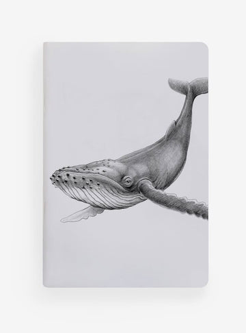 libreta diseño ballena jorobada Chile
libreta papelería ilustración fauna flora chilena
regalo libreta ballena jorobada fauna Chile
libreta 60 páginas ballena jorobada Chile
regalo papelería fauna flora nativa Chile