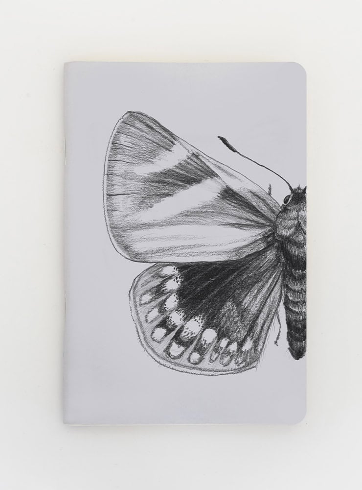libreta diseño mariposa del chagual Chile
libreta papelería ilustración fauna flora chilena
regalo libreta mariposa del chagual fauna Chile
libreta 60 páginas mariposa del chagual Chile
regalo papelería fauna flora nativa Chile