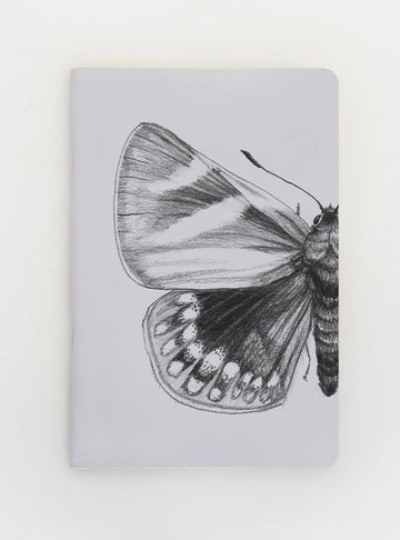 libreta diseño mariposa del chagual Chile
libreta papelería ilustración fauna flora chilena
regalo libreta mariposa del chagual fauna Chile
libreta 60 páginas mariposa del chagual Chile
regalo papelería fauna flora nativa Chile