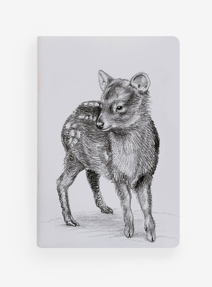libreta diseño pudú Chile
libreta papelería ilustración fauna flora chilena
regalo libreta pudú fauna Chile
libreta 60 páginas pudú Chile
regalo papelería fauna flora nativa Chile