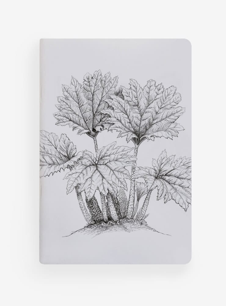 libreta diseño nalca Chile
libreta papelería ilustración fauna flora chilena
regalo libreta nalca fauna Chile
libreta 60 páginas nalca Chile
regalo papelería fauna flora nativa Chile