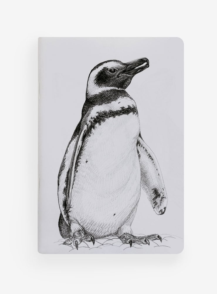 libreta diseño pingüino de magallanes Chile
libreta papelería ilustración fauna flora chilena
regalo libreta pingüino de magallanes fauna Chile
libreta 60 páginas pingüino de magallanes Chile
regalo papelería fauna flora nativa Chile
