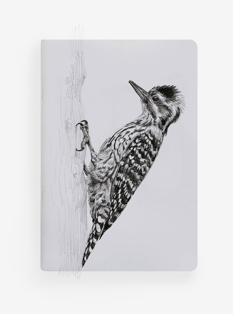 libreta diseño carpinterito Chile
libreta papelería ilustración fauna flora chilena
regalo libreta carpinterito fauna Chile
libreta 60 páginas carpinterito Chile
regalo papelería fauna flora nativa Chile