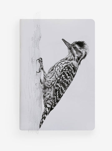 libreta diseño carpinterito Chile
libreta papelería ilustración fauna flora chilena
regalo libreta carpinterito fauna Chile
libreta 60 páginas carpinterito Chile
regalo papelería fauna flora nativa Chile