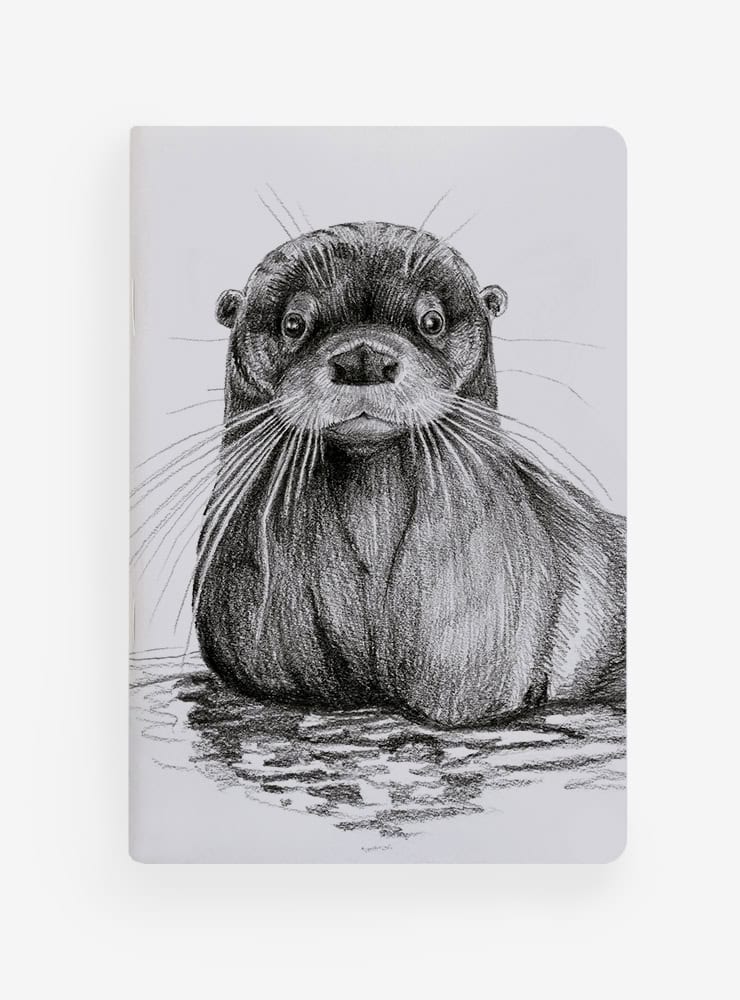 libreta diseño huillín Chile
libreta papelería ilustración fauna flora chilena
regalo libreta huillín fauna Chile
libreta 60 páginas huillín Chile
regalo papelería fauna flora nativa Chile