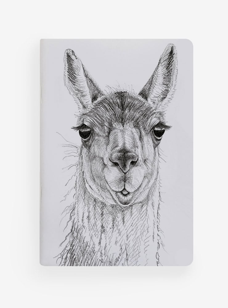 libreta diseño guanaco Chile
libreta papelería ilustración fauna flora chilena
regalo libreta guanaco fauna Chile
libreta 60 páginas guanaco Chile
regalo papelería fauna flora nativa Chile