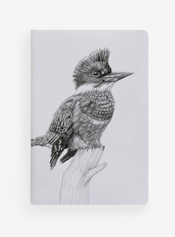 libreta diseño martín pescador Chile
libreta papelería ilustración fauna flora chilena
regalo libreta martín pescador fauna Chile
libreta 60 páginas martín pescador Chile
regalo papelería fauna flora nativa Chile