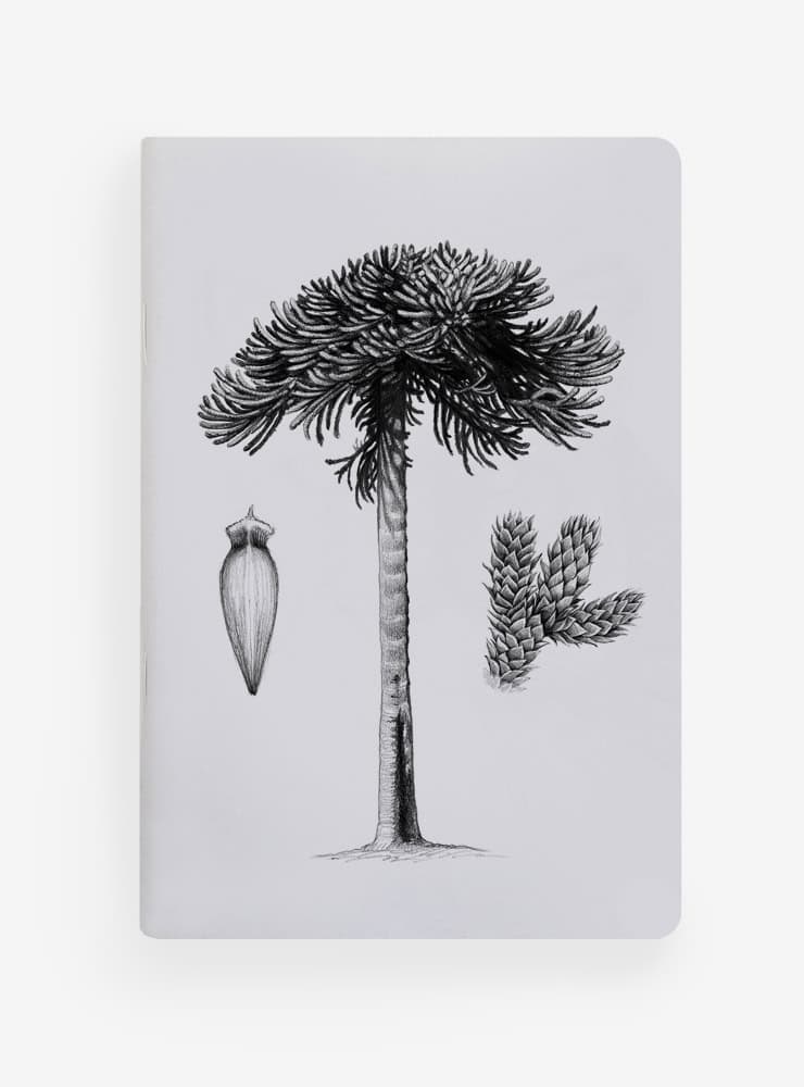 libreta diseño araucaria Chile
libreta papelería ilustración fauna flora chilena
regalo libreta araucaria fauna Chile
libreta 60 páginas araucaria Chile
regalo papelería fauna flora nativa Chile