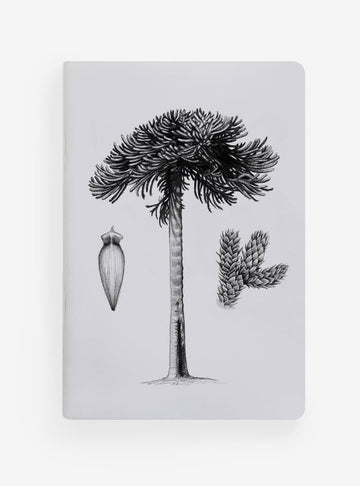 libreta diseño araucaria Chile
libreta papelería ilustración fauna flora chilena
regalo libreta araucaria fauna Chile
libreta 60 páginas araucaria Chile
regalo papelería fauna flora nativa Chile