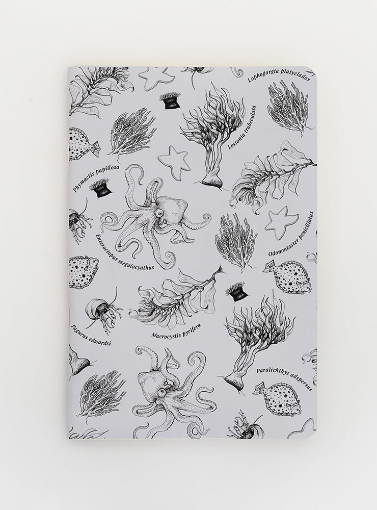 libreta diseño fondo marino Chile
libreta papelería ilustración fauna flora chilena
regalo libreta fondo marino fauna Chile
libreta 60 páginas fondo marino Chile
regalo papelería fauna flora nativa Chile