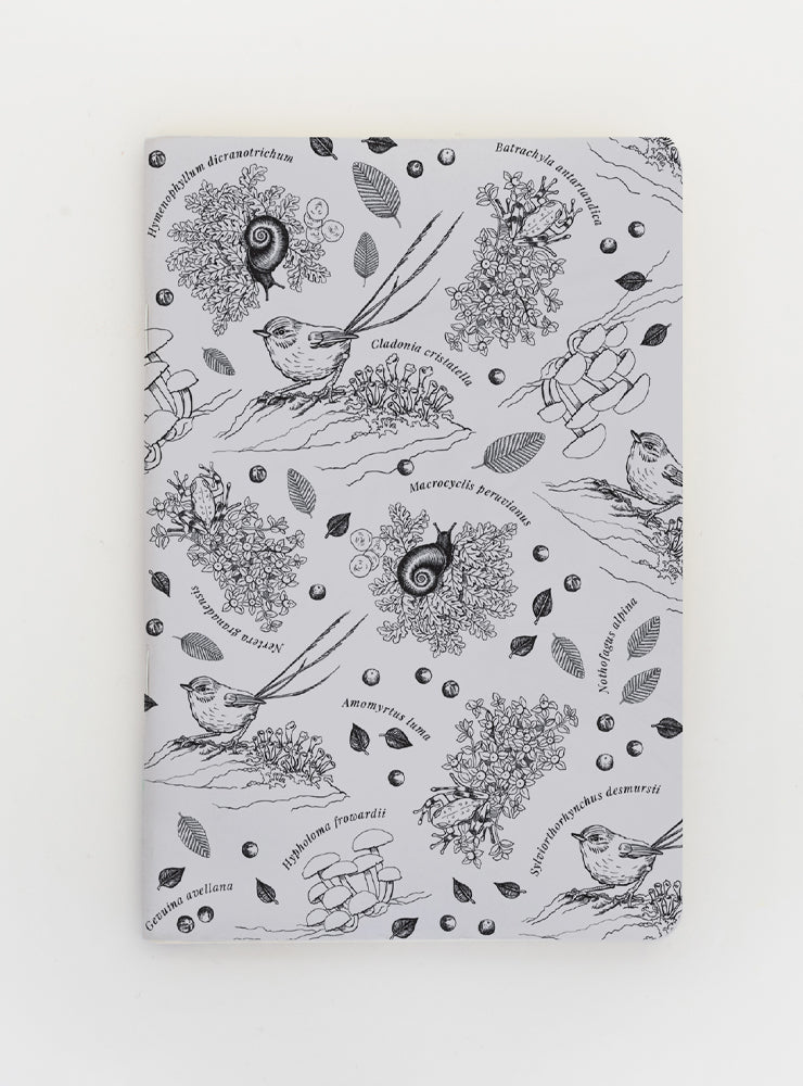 libreta diseño sotobosque Chile
libreta papelería ilustración fauna flora chilena
regalo libreta sotobosque fauna Chile
libreta 60 páginas sotobosque Chile
regalo papelería fauna flora nativa Chile