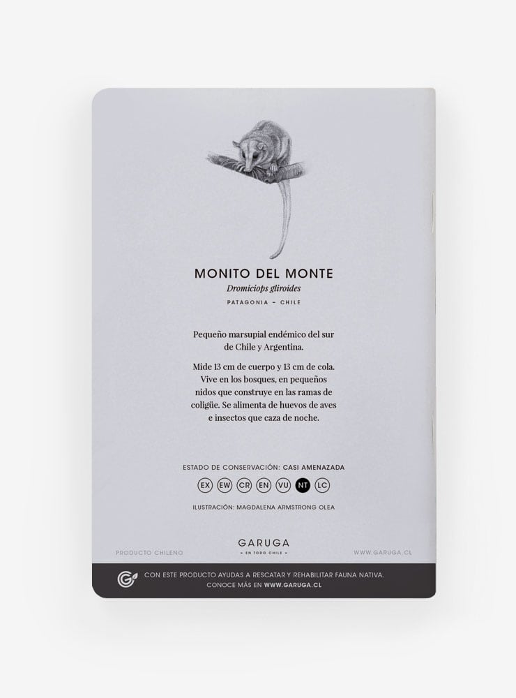libreta diseño monito del monte Chile
libreta papelería ilustración fauna flora chilena
regalo libreta monito del monte fauna Chile
libreta 60 páginas monito del monte Chile
regalo papelería fauna flora nativa Chile