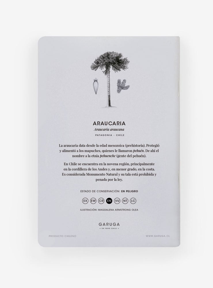 libreta diseño araucaria Chile
libreta papelería ilustración fauna flora chilena
regalo libreta araucaria fauna Chile
libreta 60 páginas araucaria Chile
regalo papelería fauna flora nativa Chile