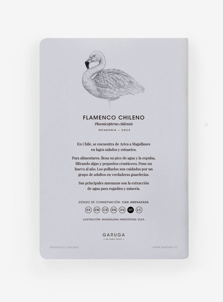 libreta diseño flamenco Chile
libreta papelería ilustración fauna flora chilena
regalo libreta flamenco fauna Chile
libreta 60 páginas flamenco Chile
regalo papelería fauna flora nativa Chile