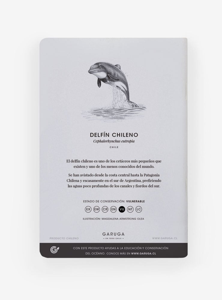 libreta diseño delfín chileno Chile
libreta papelería ilustración fauna flora chilena
regalo libreta delfín chileno fauna Chile
libreta 60 páginas delfín chileno Chile
regalo papelería fauna flora nativa Chile