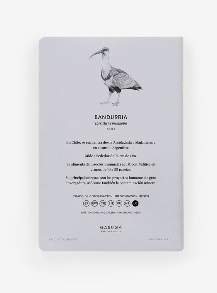 libreta diseño bandurria Chile
libreta papelería ilustración fauna flora chilena
regalo libreta bandurria fauna Chile
libreta 60 páginas bandurria Chile
regalo papelería fauna flora nativa Chile