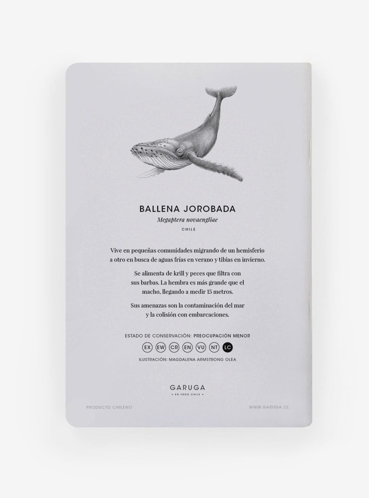 libreta diseño ballena jorobada Chile
libreta papelería ilustración fauna flora chilena
regalo libreta ballena jorobada fauna Chile
libreta 60 páginas ballena jorobada Chile
regalo papelería fauna flora nativa Chile