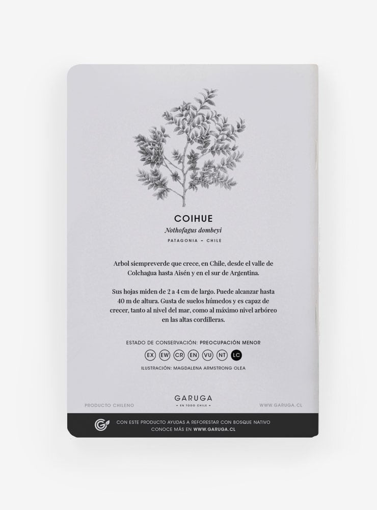 libreta diseño coihue Chile
libreta papelería ilustración fauna flora chilena
regalo libreta coihue fauna Chile
libreta 60 páginas coihue Chile
regalo papelería fauna flora nativa Chile
