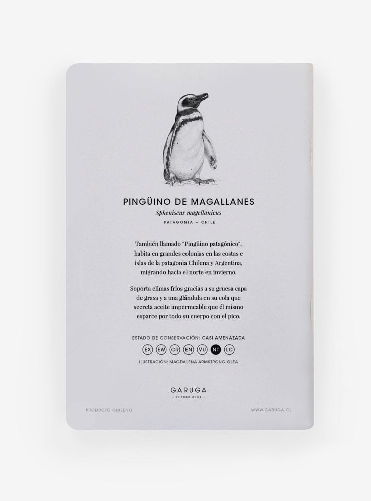 libreta diseño pingüino de magallanes Chile
libreta papelería ilustración fauna flora chilena
regalo libreta pingüino de magallanes fauna Chile
libreta 60 páginas pingüino de magallanes Chile
regalo papelería fauna flora nativa Chile