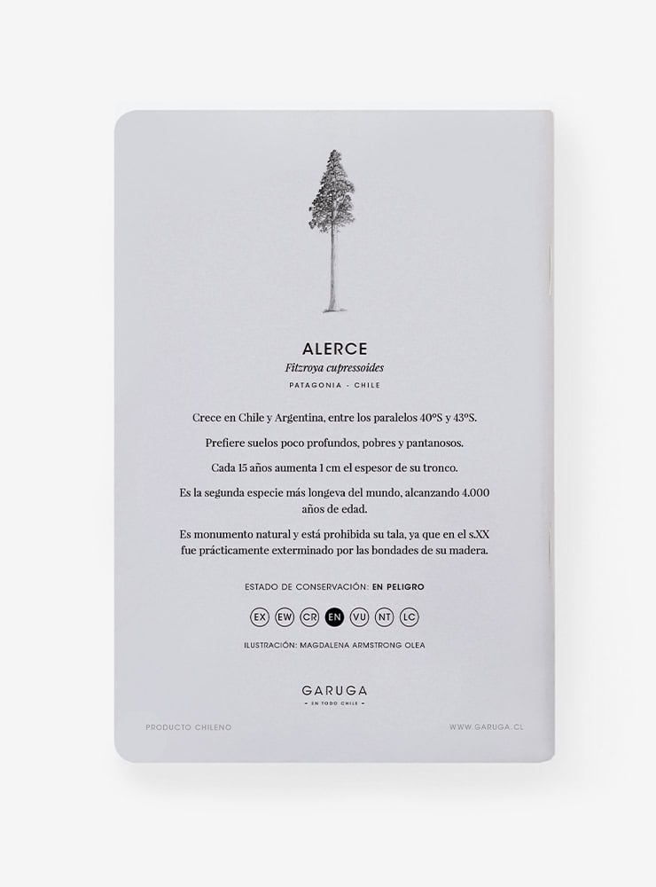 libreta diseño alerce Chile
libreta papelería ilustración fauna flora chilena
regalo libreta alerce fauna Chile
libreta 60 páginas alerce Chile
regalo papelería fauna flora nativa Chile