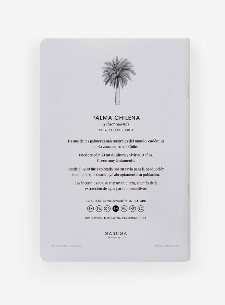 libreta diseño palma chilena Chile
libreta papelería ilustración fauna flora chilena
regalo libreta palma chilena fauna Chile
libreta 60 páginas palma chilena Chile
regalo papelería fauna flora nativa Chile