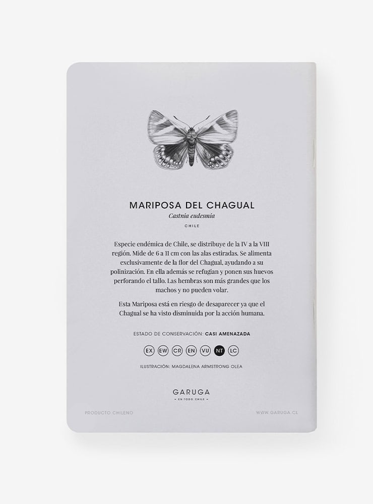 libreta diseño mariposa del chagual Chile
libreta papelería ilustración fauna flora chilena
regalo libreta mariposa del chagual fauna Chile
libreta 60 páginas mariposa del chagual Chile
regalo papelería fauna flora nativa Chile