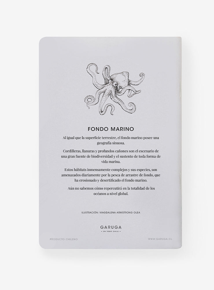 libreta diseño fondo marino Chile
libreta papelería ilustración fauna flora chilena
regalo libreta fondo marino fauna Chile
libreta 60 páginas fondo marino Chile
regalo papelería fauna flora nativa Chile