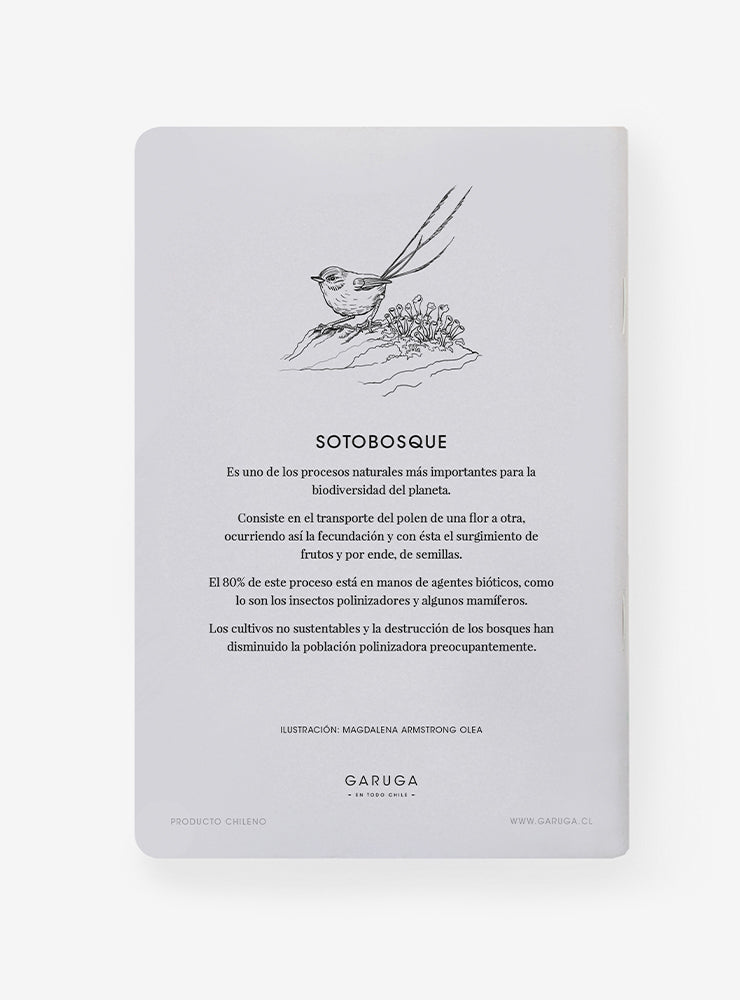 libreta diseño sotobosque Chile
libreta papelería ilustración fauna flora chilena
regalo libreta sotobosque fauna Chile
libreta 60 páginas sotobosque Chile
regalo papelería fauna flora nativa Chile